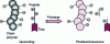 Figure 8 - How a protease sensor works