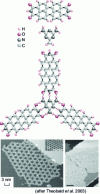 Figure 4 - Example of molecular self-assembly (PTCDI and melamine) 