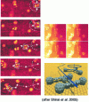 Figure 6 - Nanocar molecule moving on a gold surface by thermal agitation 