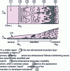 Figure 1 - Classic" scenario for transition to turbulence in the boundary layer on a flat plate (from )