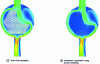 Figure 4 - Calculation of fluid flow outside the beam with a CFD model and an "equivalent" model (source: Bonneau, 2017).