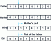 Figure 11 - Example of a binary-coded crossover