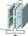 Figure 8 - Fuel cell structure and operating principle