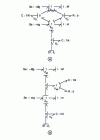 Figure 20 - Bond causal graph associated with figure a