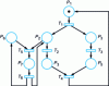 Figure 25 - Non-living, resettable Petri net