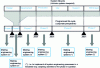 Figure 6 - Reconciliation of program, system and process cycles (according to ISO 19760)