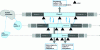 Figure 7 - Multi-level phasing synchronization