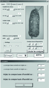 Figure 10 - Example of use of the steaming control interface