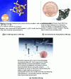 Figure 4 - Various flying microrobot projects. The American 1-cent coin gives the scale: its diameter is 19 × 10–3 m