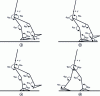 Figure 1 - Planar bipedal robot underactuated (a) and (b), fully actuated (c), or overactuated (d), depending on its unilateral constraints with the ground.