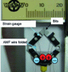 Figure 52 - Monolithic microgripper [98]