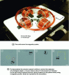 Figure 7 - Magnetic microrobotic system [54]