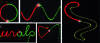 Figure 20 - Some examples of path following on freehand curves whose analytical expression is not known