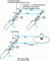 Figure 11 - Comparative cable routing in a mechanical remote manipulator and an actuated manipulator – Coupling phenomenon