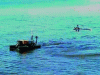Figure 12 - An unmanned water surface vehicle (USV) in cooperation with a UAV for inspection after a natural disaster [25].