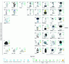 Figure 1 - A classification of commercially available pet robots based on [64], showing the shape of robots from the most complex to the simplest on the x-axis, and the animal-to-human reference metaphor on the y-axis. This figure also shows the different interaction modalities and the input data used to create this interaction.