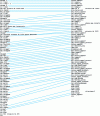 Figure 2 - Examples of almost slavish similarities between two subprograms: same variable names, same comments, very similar kinematics