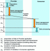 Figure 21 - Handling the protocol stack in Provider and Consumer devices