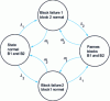 Figure 17 - Markov graph for two different blocks B1 and B2