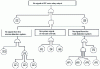 Figure 27 - Structure of the second fault tree