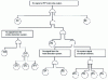 Figure 28 - Structure of the third tree