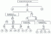 Figure 30 - Third tree with door numbering