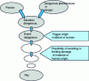 Figure 5 - Condition for damage to occur (according to [9])