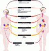 Figure 4 - PE targets