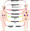 Figure 4 - PE targets