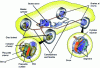 Figure 7 - Diagram of a motor vehicle braking system