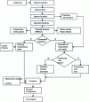 Figure 3 - General organization chart of SRCM tasks