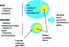 Figure 2 - Comparison of PMO2000® and RCM approaches to failure modes (source: Turner)