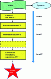 Figure 1 - The different levels in the causal chain