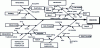 Figure 14 - Example of an Ishikawa diagram for the vibration effect