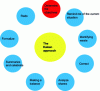 Figure 5 - The different stages of the KAIZEN approach