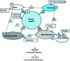 Figure 1 - Contractual organization of a project