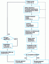 Figure 1 - Steps in the ISI process, as proposed in the PN ISI methodological guide