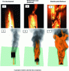 Figure 13 - Example of an experimental-digital comparison carried out in the case of the study of a large-scale system (after [12] [47]).