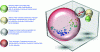 Figure 8 - Impact of prevention and protection measures on machine status safety