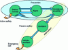 Figure 3 - Active and passive safety (source EUCAR)