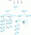 Figure 11 - Closed door event: corrected and encrypted version (see figure  for the convention used).