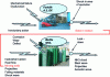 Figure 5 - Process construction: forklift – A.3 and bottle NH3 – A.1