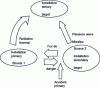 Figure 5 - Simplified diagram of the domino effect in the MADS model