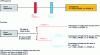 Figure 10 - Parallel between the LOPA representation and the event tree, inspired by CCPS [1].