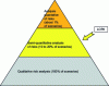 Figure 5 - Breakdown of risk analysis methods according to CCPS [1].