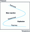 Figure 2 - Pressure-temperature stability diagram for an unstable gas of fixed composition