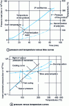 Figure 22 - Mini-autoclave test on vinyl acetate monomer containing 1.8% by weight peroxide