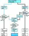 Figure 1 - Explosion development diagram