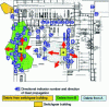 Figure 20 - Identification of explosion centers by damage analysis – Texas City [19]