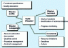 Figure 2 - Role of the project team